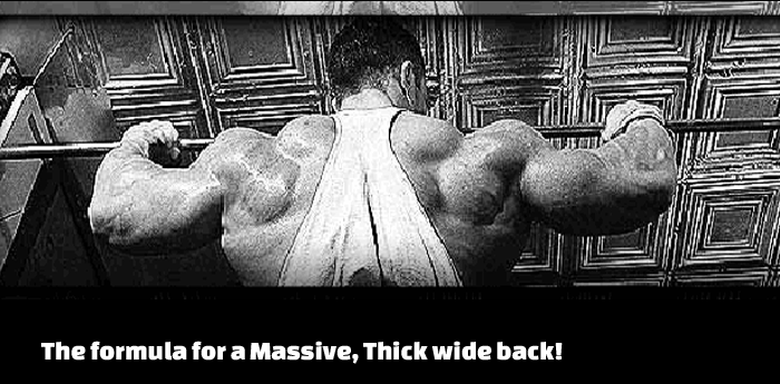 Taking Your Back To The Next Level